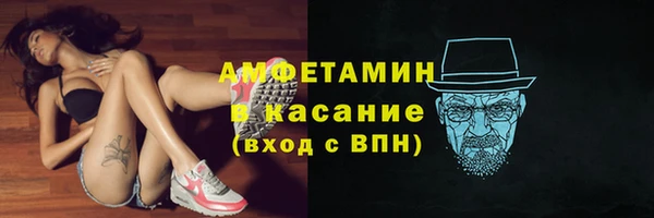 мяу мяу мука Аркадак