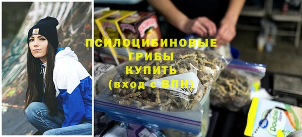 мяу мяу мука Аркадак
